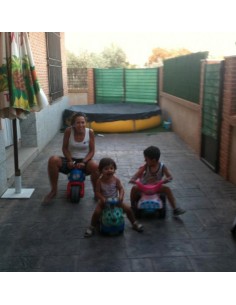 Piscina Desmontable... 2