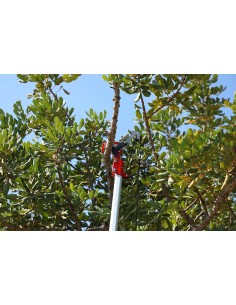 Tijera para pértiga KM-62 2