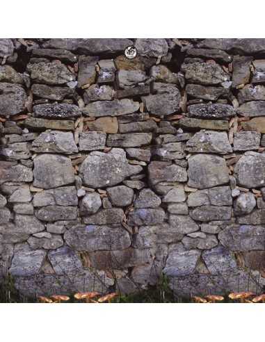 Piscina Desmontable Circular PIEDRA GRIS Piscina Desmontable Circular PIEDRA GRIS