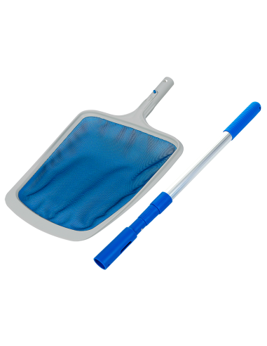 Recoge hojas con mango ECO